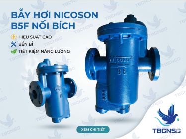Bẫy hơi Nicoson B5F nối bích