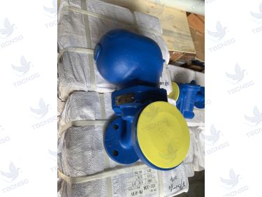 Bẫy hơi phao FT43 hiệu AFBV