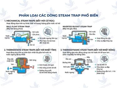 Bẫy hơi (Steam Trap): Nguyên lý, Phân loại và Cách chọn đúng