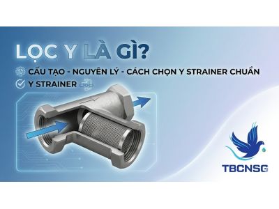 Lọc Y (Y Strainer): Giải pháp bảo vệ thiết bị và tối ưu vận hành đường ống
