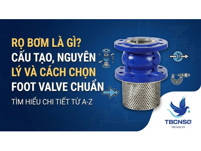 Rọ bơm (Foot Valve): Giải pháp duy trì áp suất và bảo vệ hệ thống máy bơm