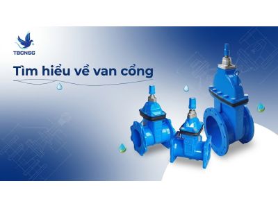 Van cổng (Gate Valve): Kiến thức kỹ thuật và kinh nghiệm vận hành thực tế