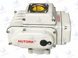 Bộ Truyền Động Điện Nutork NTE-100..