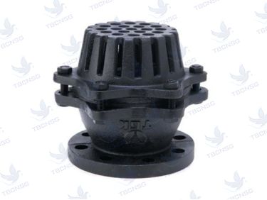 Foot valve, rọ bơm, rọ hút TGK Hàn Quốc