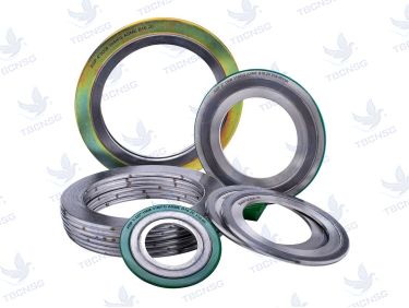 Gioăng chì Spiral gasket