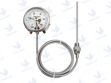 Đồng hồ đo nhiệt độ Wise T761, T762, T763, T764