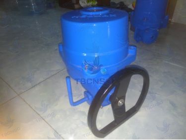 Động cơ điều khiển van điện Neumax Meiji QT
