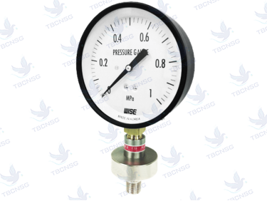 Đồng hồ áp suất màng Wise P170 series chính hãng Hàn Quốc