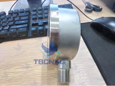 Đồng hồ áp suất Tema