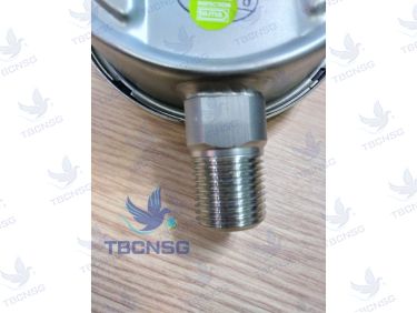 Đồng hồ áp suất Tema