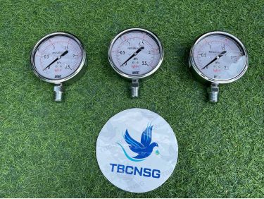 Đồng hồ áp suất Wise