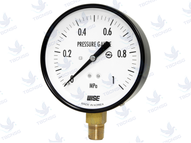 Đồng hồ áp suất Wise P110 series
