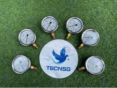 Đồng hồ áp suất Wise P254 vỏ inox chân đồng có dầu