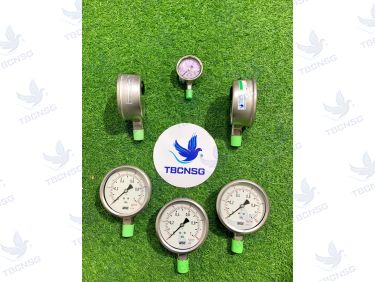 Đồng Hồ Áp Suất WISE P255 Series