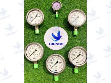 Đồng hồ áp suất Wise P255 vỏ inox chân inox không dầu