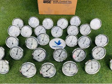 Đồng Hồ Nhiệt Độ Wise T114 Chân Sau, Mặt 75/100mm