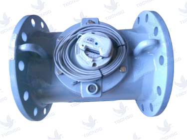 Đồng hồ nước Actaris gắn dây xung