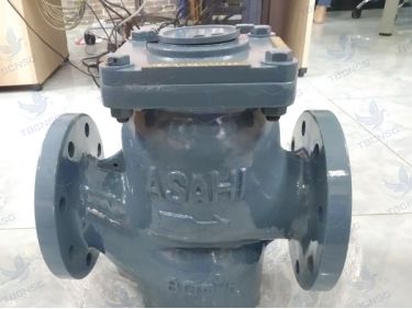 Đồng hồ nước Asahi WVM-80