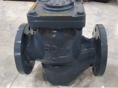 Đồng hồ nước Asahi WVM-80
