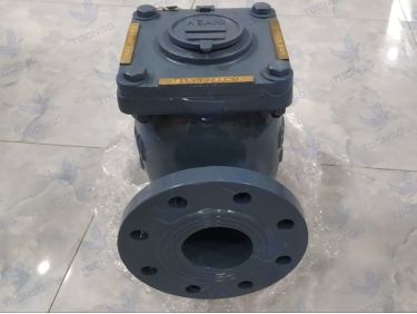 Đồng hồ nước Asahi WVM-80