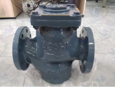 Đồng hồ nước Asahi WVM-80