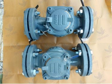 Đồng hồ nước Asahi WVM kiểu Woltman nối bích cho đường ống lớn