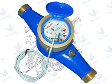 Đồng hồ nước Baylan có dây xung