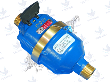 Đồng hồ nước Baylan pitton VK-9
