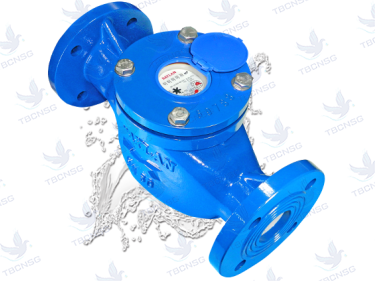 Đồng hồ nước Baylan TK7C mặt bích