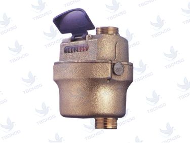 Đồng hồ nước cấp C kiểu piston Itron Actaris TD88