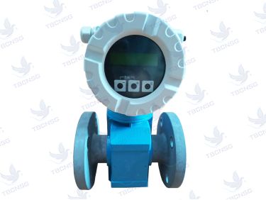 Đồng hồ nước điện từ Endress Hauser