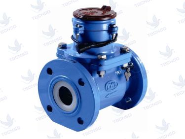 Đồng hồ nước điện tử mặt bích EMS Đài Loan