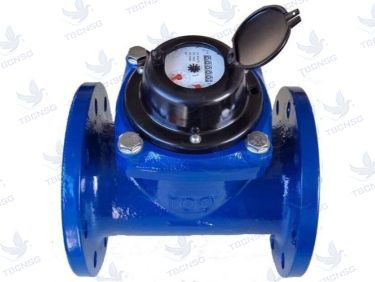 Đồng hồ nước Dupan thân gang mặt bích