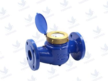 Đồng hồ nước Dupan thân gang mặt bích
