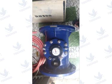 Đồng hồ nước Flowtech DN300