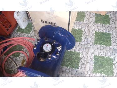 Đồng hồ nước Flowtech DN300
