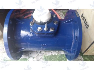 Đồng hồ nước Flowtech DN300
