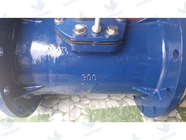 Đồng hồ nước Flowtech DN300