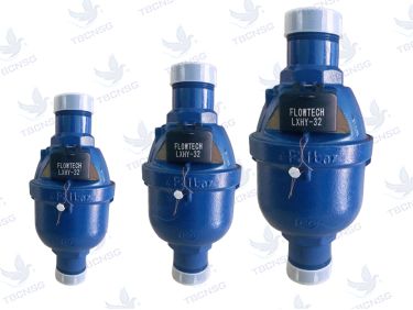 Đồng hồ nước Flowtech LXHY cấp C