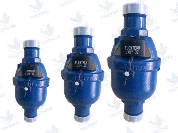 Đồng hồ nước Flowtech LXHY cấp C