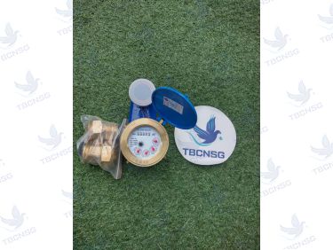Đồng hồ nước Flowtech LXSV lắp đứng