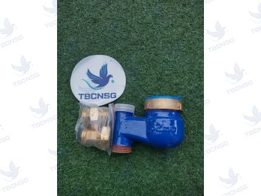 Đồng hồ nước Flowtech LXSV lắp đứng
