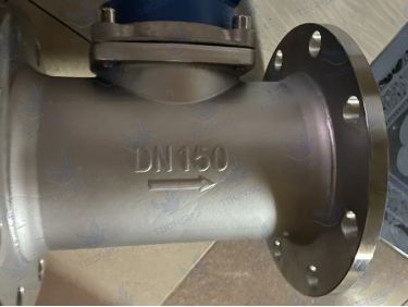 Đồng hồ nước inox DN150 Komax