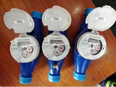 Đồng hồ nước Itron Multimag Cyble