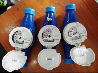 Đồng hồ nước Itron Multimag Cyble
