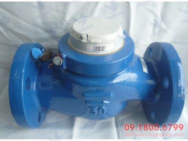 Đồng hồ nước Itron Multimag Cyble
