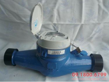 Đồng hồ nước Itron Multimag Cyble