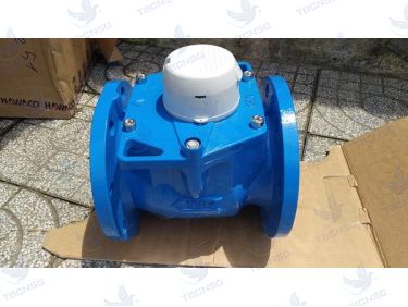 Đồng hồ nước Itron Woltex DN 150