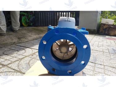 Đồng hồ nước Itron Woltex DN 150