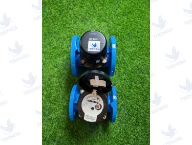 Đồng hồ nước Itron Woltex DN100